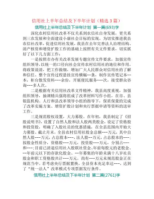 信用社上半年总结及下半年计划(精选3篇)