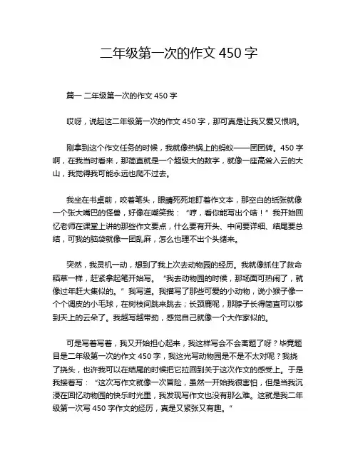 二年级第一次的作文450字