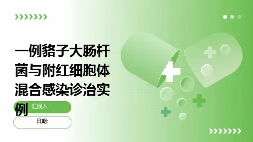 一例貉子大肠杆菌与附红细胞体混合感染诊治实例
