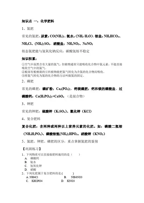 中考化学之化学肥料与化学生活