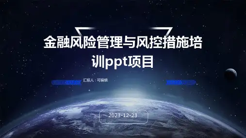 金融风险管理与风控措施培训ppt项目