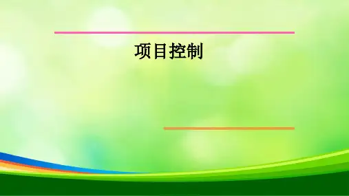 项目控制(ppt 91页)