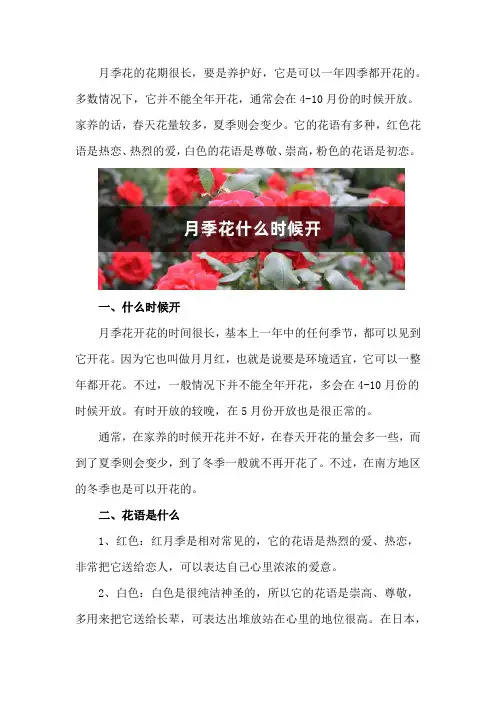 月季花什么时候开,花语是什么