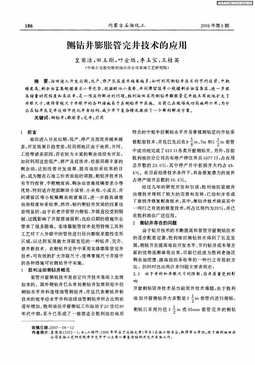 侧钻井膨胀管完井技术的应用