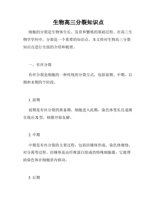 生物高三分裂知识点