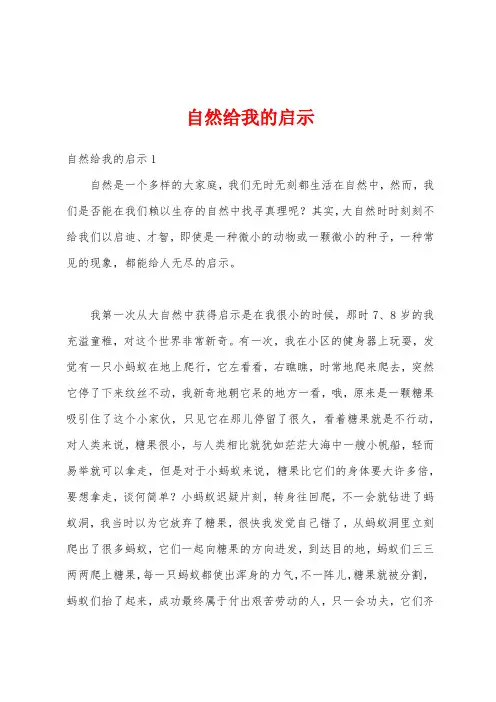 自然给我的启示