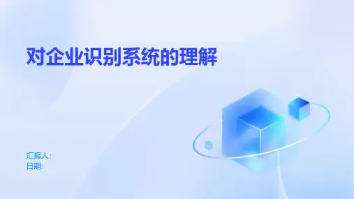 对企业识别系统的理解