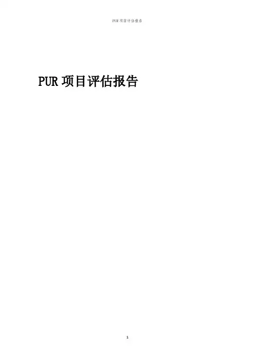 2023年PUR项目评估报告