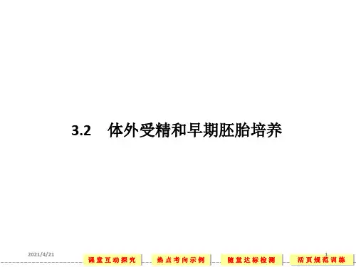 体外受精和早期胚胎培养(3)