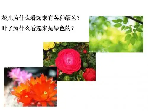 初二(八年级)物理_光的色散_课件