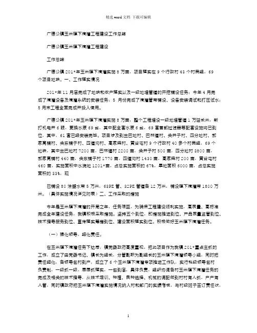 2021年广德公镇玉米膜下滴灌工程建设工作总结