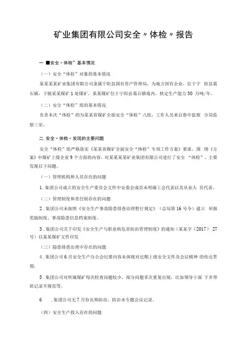 矿业集团有限公司安全体检报告