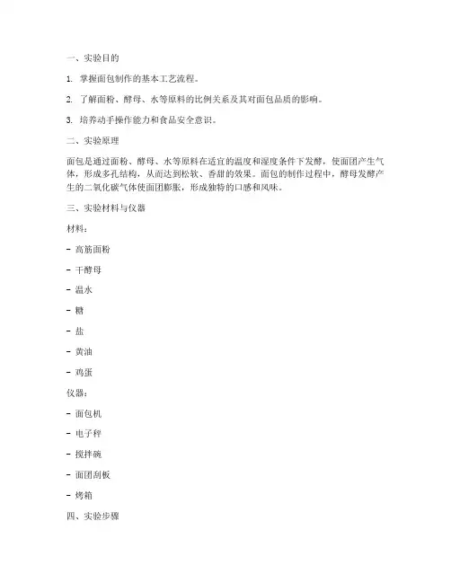 自制面包实验报告