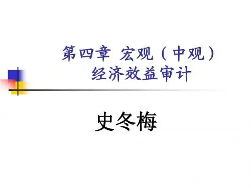 经济效益审计课件3