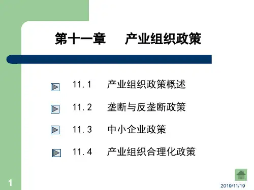产业组织政策概论(PPT 54页)