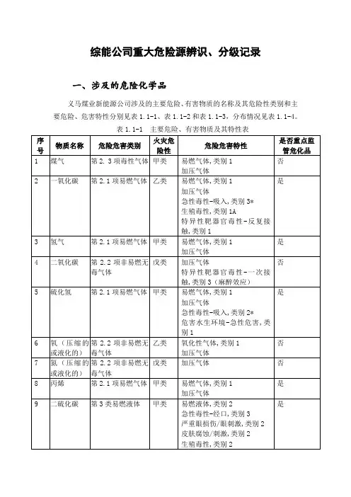 综能公司重大危险源辨识、分级记录
