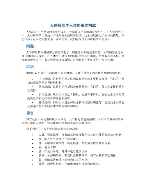 人体解剖学人体的基本构成