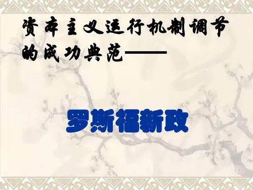 人民历史必修2专题六2罗斯福新政(共38张PPT)