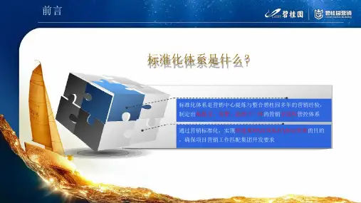 房地产标准化营销策略重点工作铺排节点指引