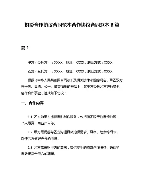 摄影合作协议合同范本合作协议合同范本6篇