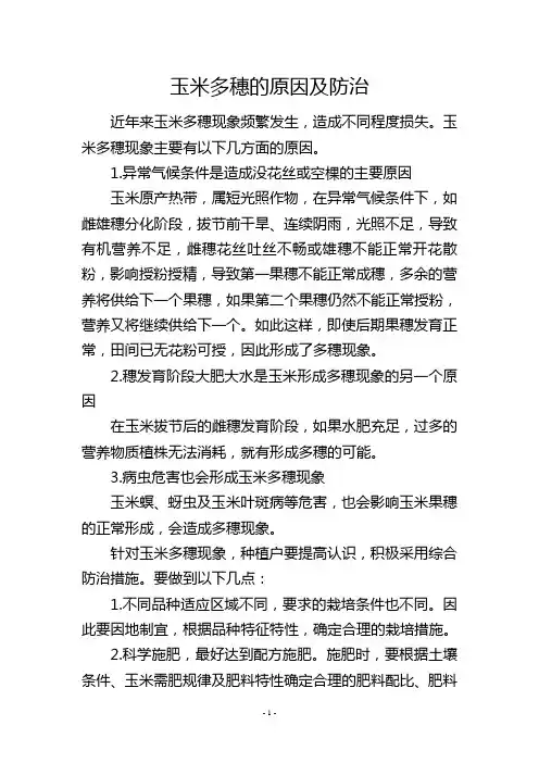 玉米多穗的原因及防治