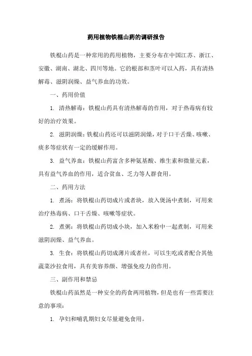 药用植物铁棍山药的调研报告