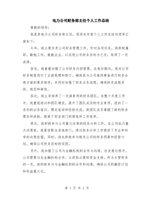 电力公司财务部主任个人工作总结