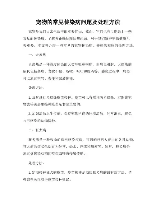 宠物的常见传染病问题及处理方法