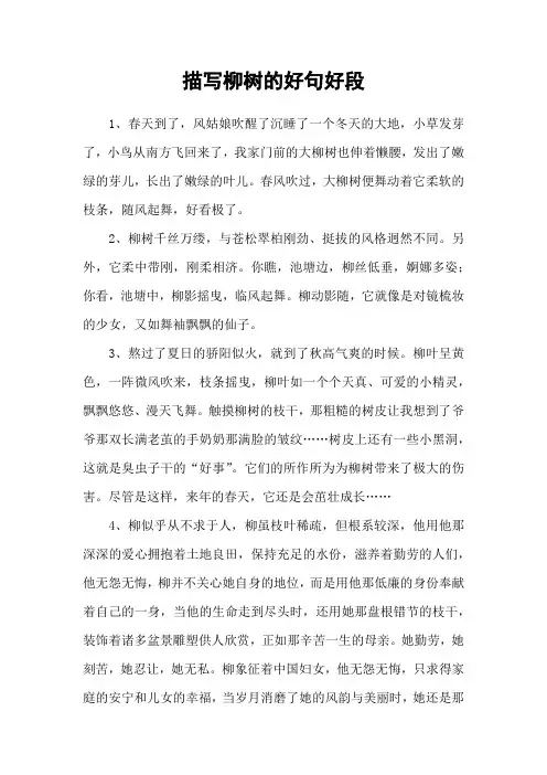 描写柳树的好句好段