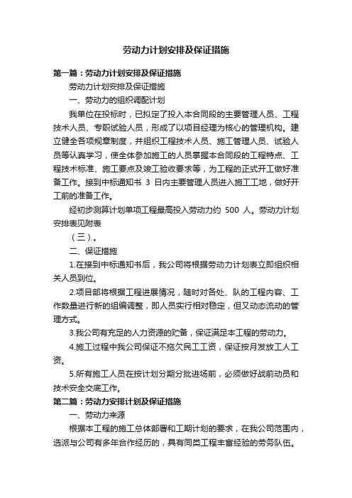 劳动力计划安排及保证措施