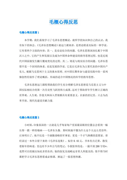 毛概心得反思