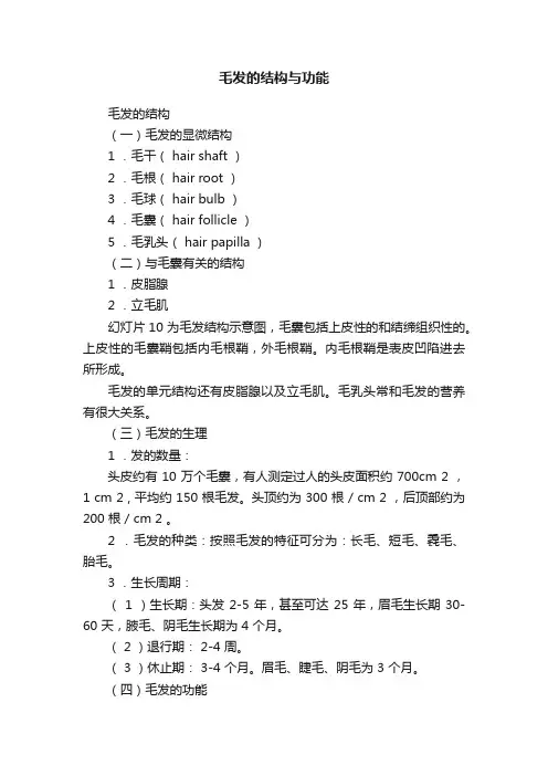 毛发的结构与功能