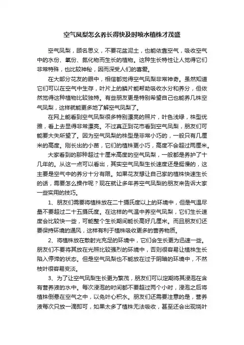 空气凤梨怎么养长得快及时喷水植株才茂盛
