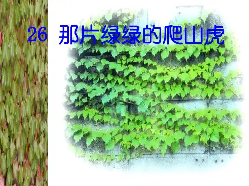 人教版四年级语文上册《那片绿绿的爬山虎》PPT课件优品ppt资料