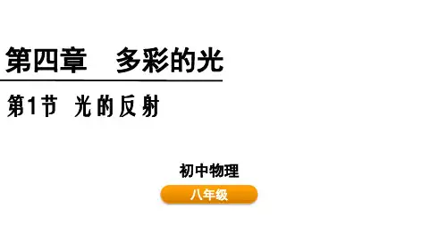 光的反射PPT课件