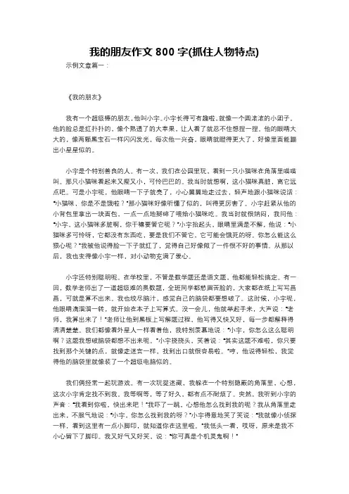 我的朋友作文800字(抓住人物特点)
