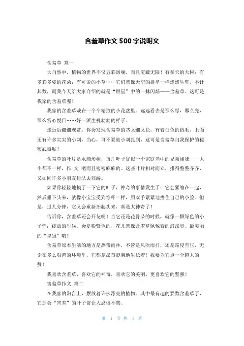 含羞草作文500字说明文