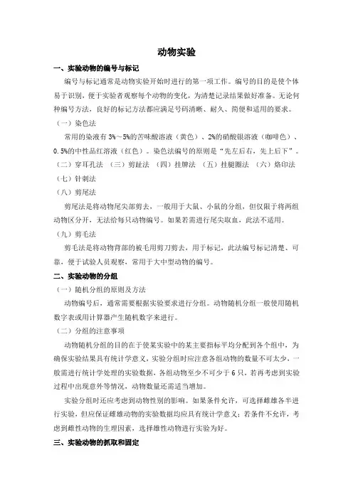 动物实验概述