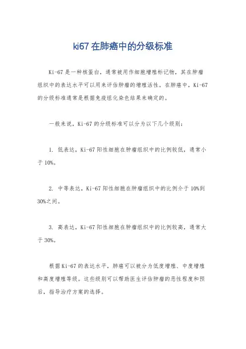 ki67在肺癌中的分级标准