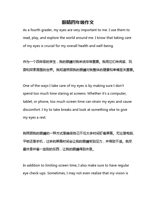 眼睛四年级作文