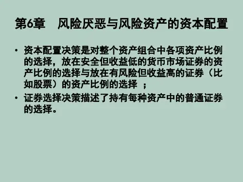 风险厌恶、风险资产与资本配置