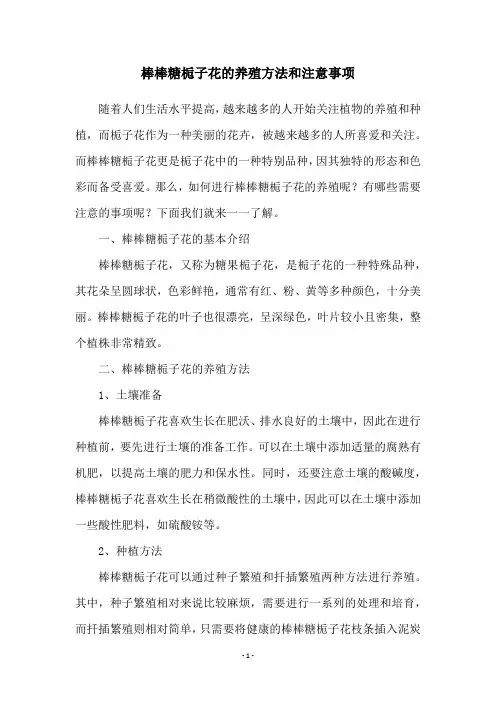 棒棒糖栀子花的养殖方法和注意事项
