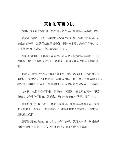 黄柏的育苗方法