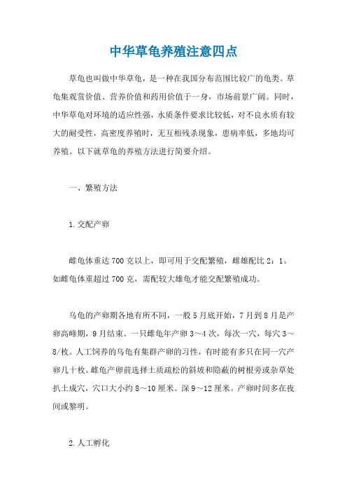 中华草龟养殖注意四点