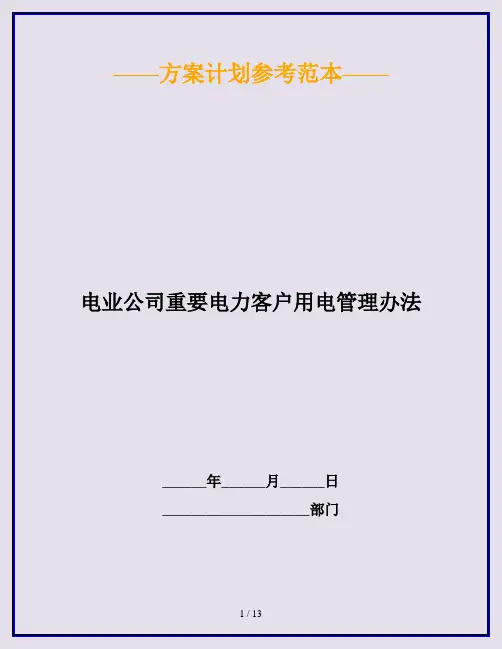 电业公司重要电力客户用电管理办法