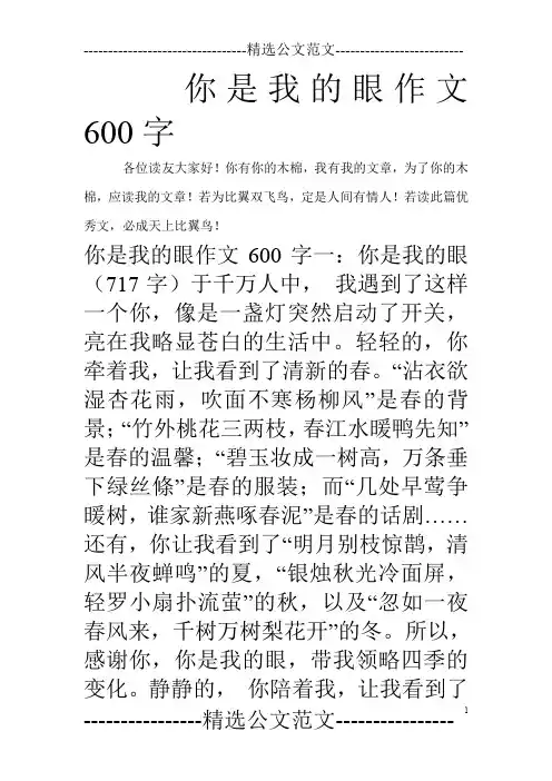 你是我的眼作文600字