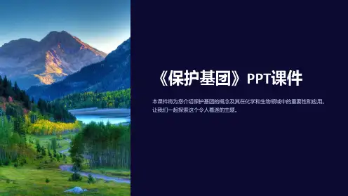 《保护基团》课件