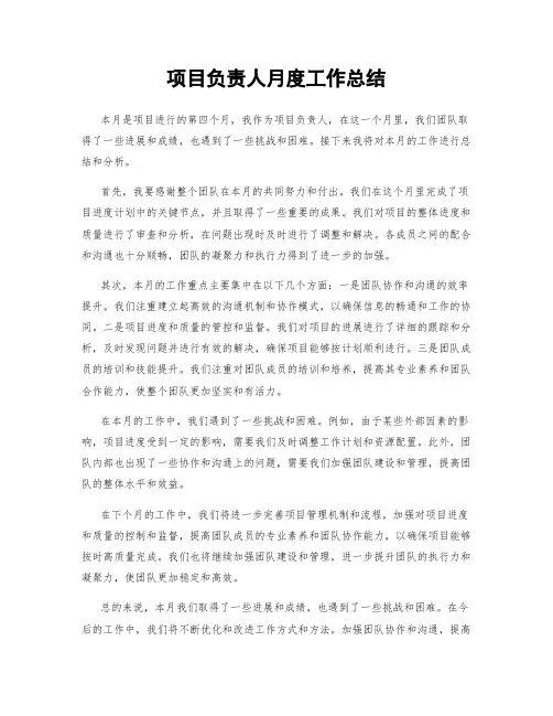 项目负责人月度工作总结