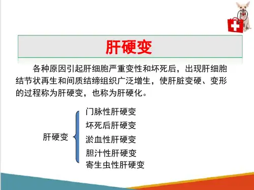 动物消化系统病理—肝硬变(动物病理学课件)