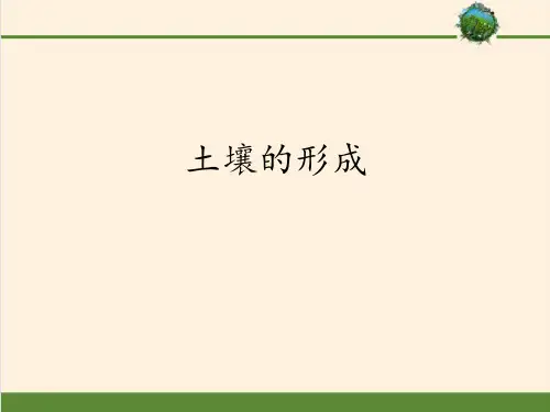 高中地理湘教版(2019)必修第一册 第五章 第二节土壤的形成